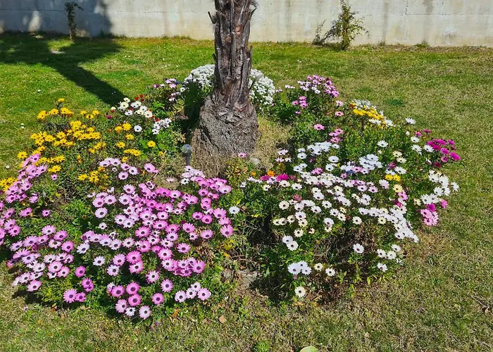 Apartamento Casa Belfiore *